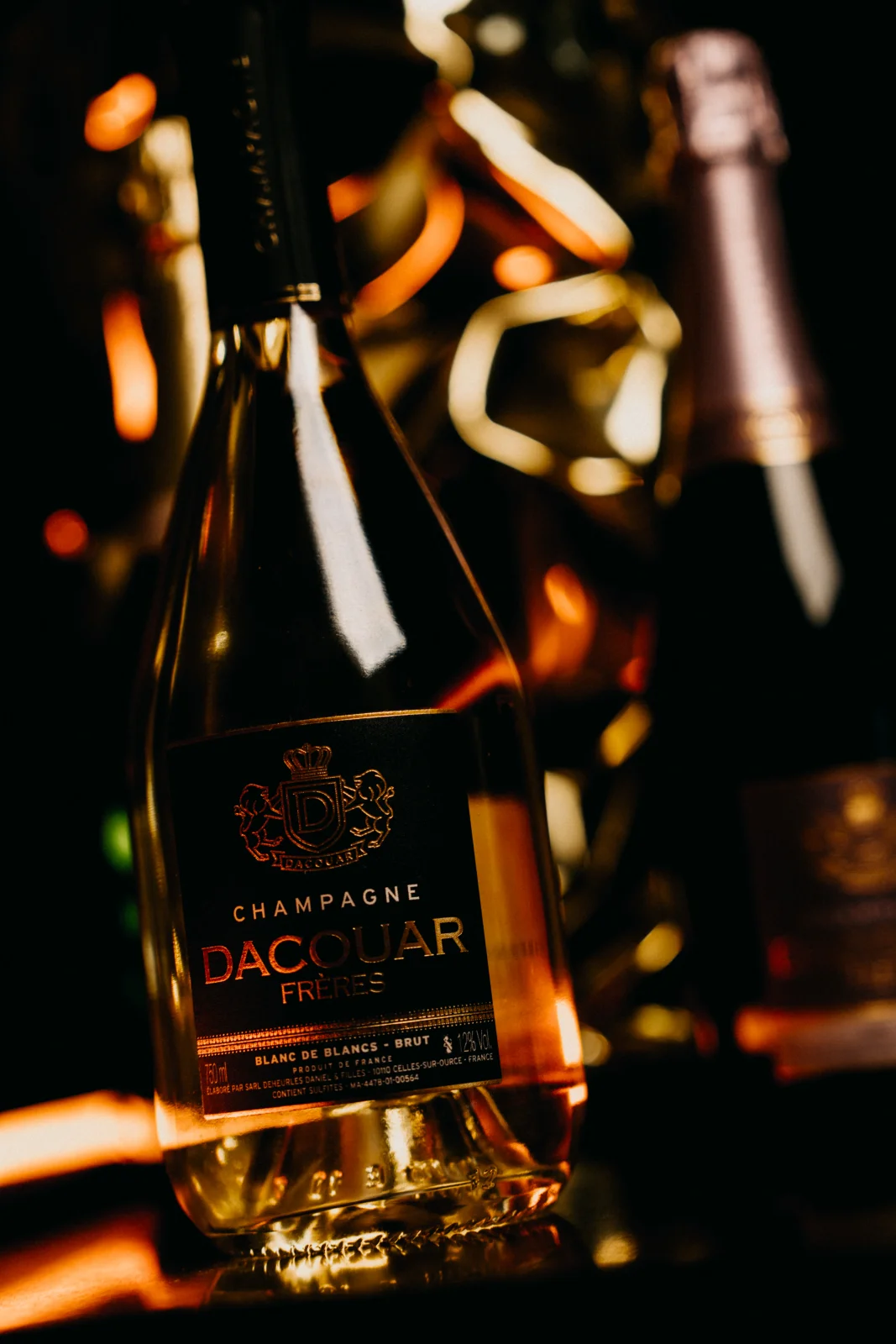 The art of holding the moment — Maison Dacouar